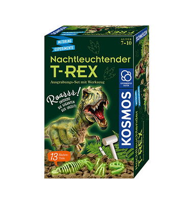 Ausgrabungsset T-REX mehrfarbig Ausgrabungsset