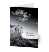 Trauerkarten Baum LU1412 11,5cm x 17,5cm (BxH) 260g Motiv Chromopapier FSC