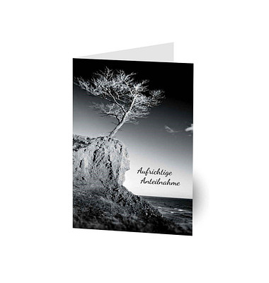 Trauerkarten Baum LU1412 11,5cm x 17,5cm (BxH) 260g Motiv Chromopapier FSC
