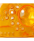 Wespenfalle orange