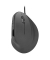 PIAVO Maus ergonomisch kabelgebunden schwarz