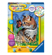 Malen-nach-Zahlen Katze mit Schmetterling mehrfarbig