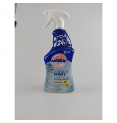 Sagrotan Allzweckreiniger 3206616 Desinfektion 600ml Sagrotan Allzweckreiniger 3206616 Desinfektion 600ml
