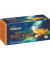 Tee 100279 Grüner Tee Orange-Ingwer 25 Btl./Pack.