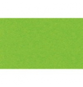 Buntkarton Bähr 1109652, 300g, 50x70cm, tropicgrün