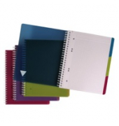 Notizbuch 329755C, Evolutiv'Book, farbig sortiert, A5+, kariert, 90g, 90 Blatt / 180 Seiten