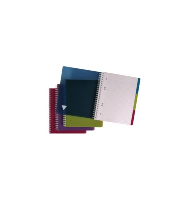 Notizbuch 329755C, Evolutiv'Book, farbig sortiert, A5+, kariert, 90g, 90 Blatt / 180 Seiten