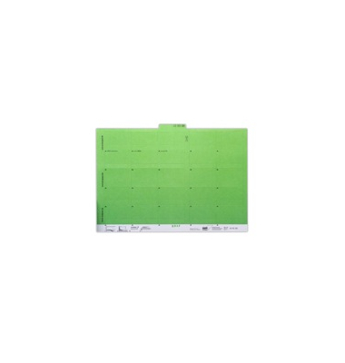 Reiter 405006, selbstklebend, 55mm, grün