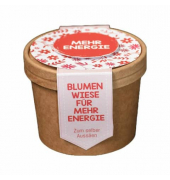 Blumenwiese zum Aussäen Energie Anzuchtset