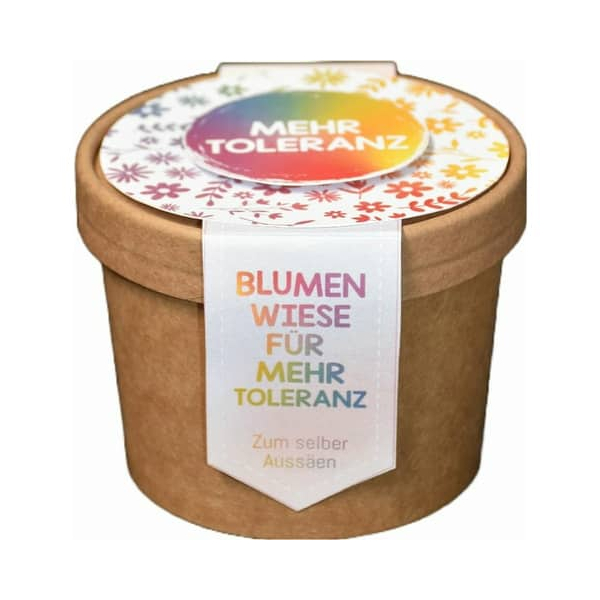 4250144778327 - Blumenwiese zum Aussäen Toleranz Anzuchtset 4250144778327 WUNDERLE 4250144778327 - Blumenwiese zum Aussäen Toleranz Anzuchtset 4250144778327 WUNDERLE