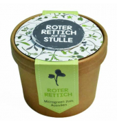 Aussaat-Pott Microgreens Roter Rettich Anzuchtset