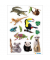 Schmucketikett Exotische Tiere