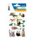 Schmucketikett Exotische Tiere