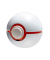 Pokémon Trainer Guess Sinnoh Edition Lernspielzeug