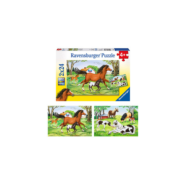 4005556088829 - Welt der Pferde Puzzle 2x 24 Teile 4005556088829 Ravensburger 4005556088829 - Welt der Pferde Puzzle 2x 24 Teile 4005556088829 Ravensburger