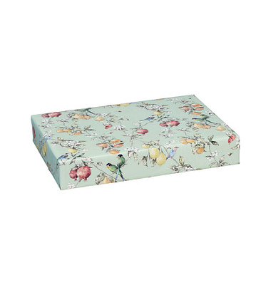 Geschenkpapier Solera 514590, Früchte, 50cm x 20m, mehrfarbig