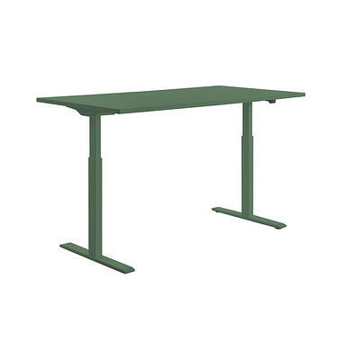 E-Table elektrisch höhenverstellbarer Schreibtisch mintgrün rechteckig, T-Fuß-Gestell grün 160,0 x 80,0 cm