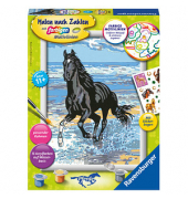 Malen-nach-Zahlen Pferd am Strand mehrfarbig