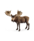Schleich Wild Life 14781 Elch Bulle Spielfigur