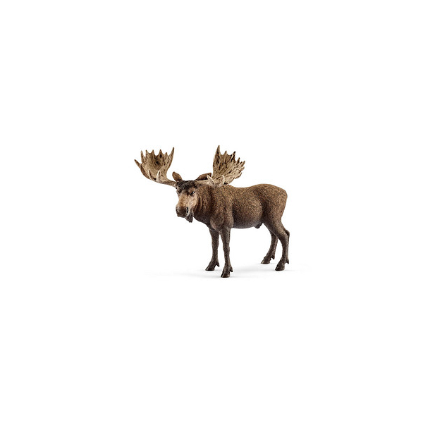4055744012747 - Wild Life 14781 Elch Bulle Spielfigur 4055744012747 Schleich 4055744012747 - Wild Life 14781 Elch Bulle Spielfigur 4055744012747 Schleich