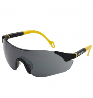 GEBOL Schutzbrille Safety Comfort 730002 getönt
