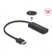 DeLOCK USB CHDMI Adapter 0,24 m schwarz