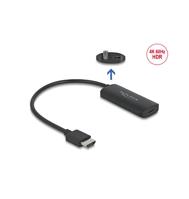 DeLOCK USB CHDMI Adapter 0,24 m schwarz