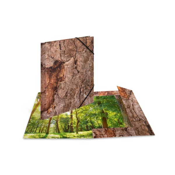 3 Stück Herma Sammelmappe NATURE 19776, A4 Motiv Wood, 0,4cm Füllhöhe, Karton 4008705197762 Herma