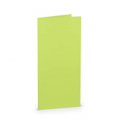 Blanko-Gru&szlig;karten 16400322 DIN lang hoch doppelt 100mm x 210mm (BxH) 220g ohne maigr&uuml;n