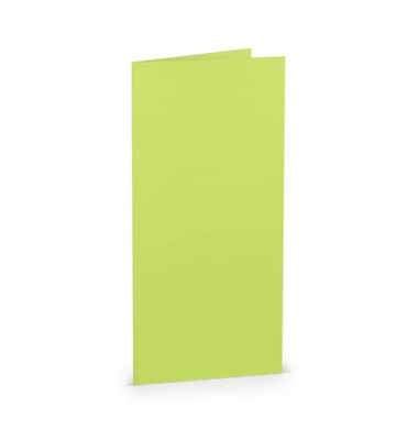 Blanko-Grußkarten 16400322 DIN lang hoch doppelt 100mm x 210mm (BxH) 220g maigrün