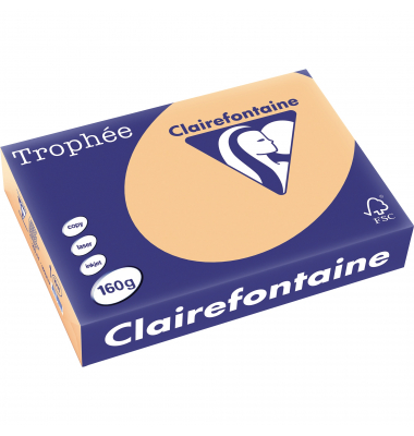 Kopierpapier Trophee 1011C aprikose pastell A4 160g 