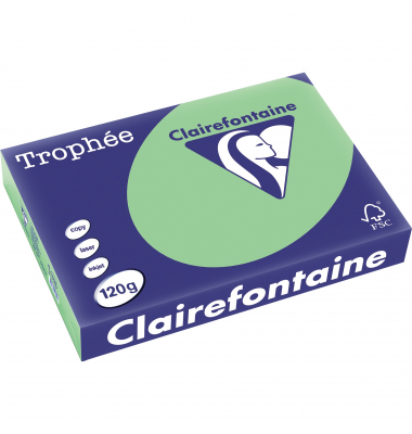 Kopierpapier Trophee 1228C naturgr&uuml;n pastell A4 120g