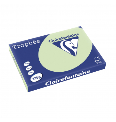 Kopierpapier Trophee 1315C grün pastell A3 120g 