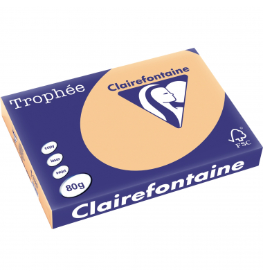 Kopierpapier Trophee 1996C aprikose A3 80g 