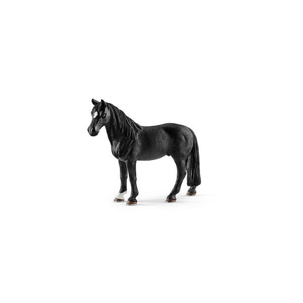 4059433333939 - Farm World 13832 Tennessee Walker Wallach Spielfigur 4059433333939 Schleich 4059433333939 - Farm World 13832 Tennessee Walker Wallach Spielfigur 4059433333939 Schleich