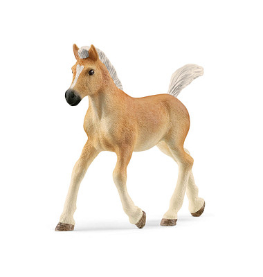Schleich Horse Club 13951 Haflinger Fohlen Spielfigur Schleich Horse Club 13951 Haflinger Fohlen Spielfigur