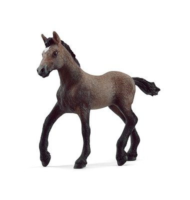 Schleich Horse Club 13954 Paso Peruano Fohlen Spielfigur Schleich Horse Club 13954 Paso Peruano Fohlen Spielfigur