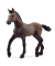 Schleich Horse Club 13954 Paso Peruano Fohlen Spielfigur