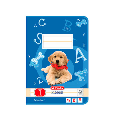 Schulheft 11387081 x.book, Lineatur 1 / Schreiblern-Lineatur, A5, 80g, blau, 32 Blatt / 64 Seiten