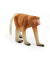 Schleich Wild Life 14846 Nasenaffe Spielfigur