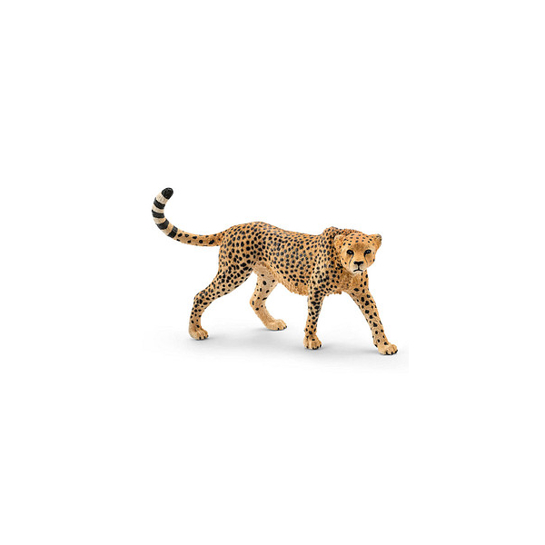 4059433333229 - Wild Life 14746 Gepardin Spielfigur 4059433333229 Schleich 4059433333229 - Wild Life 14746 Gepardin Spielfigur 4059433333229 Schleich