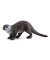 Schleich Wild Life 14865 Fischotter Spielfigur