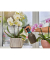 GARDENA Pumpsprühflasche schwarz, grau