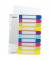 Kunststoffregister WOW 1243-00-00, 1 bis 10, A4+, 300µm, farbige Taben, 10-teilig