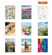 Notizbuch 35117, farbig sortiert, A5, blanko, 100g, 72 Blatt / 144 Seiten