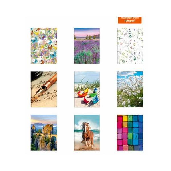 18 Stück Alpedia Notizbuch 35117, Head - Serie, farbig sortiert, A5, liniert / kariert / blanco, 100g, 72 Blatt / 144 Seiten 4015290351172 Alpedi