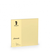 Blanko-Gru&szlig;karten 220741519 157mm x 157mm (BxH) 225g sandbraun