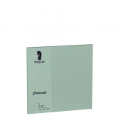 Blanko-Gru&szlig;karten 220741567 157mm x 157mm (BxH) 225g eucalyptus