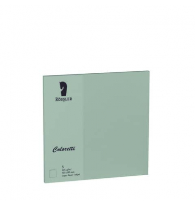 Blanko-Gru&szlig;karten 220741567 157mm x 157mm (BxH) 225g eucalyptus