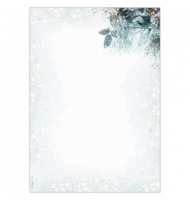 Motiv-Weihnachtsbriefpapier Eucalyptus magic DP424 A4 90g 